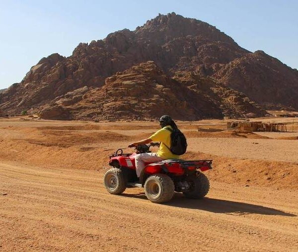 Excursion in Sinai Desert Sharm El Shekh